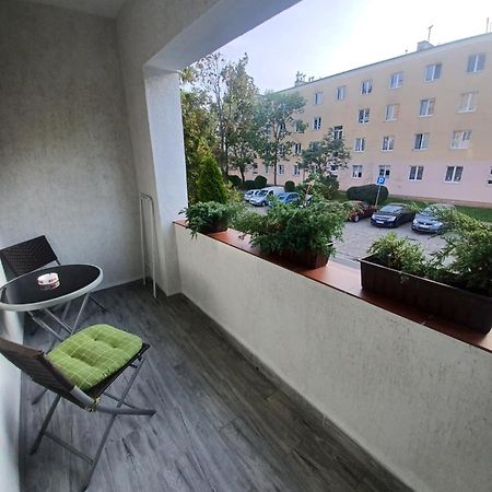 Apartament Lord Торунь Екстер'єр фото